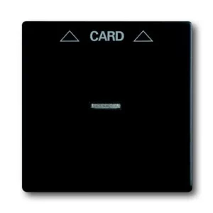 Centrumplatta Erbjudandepris